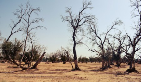 Lamnizla, Maroc